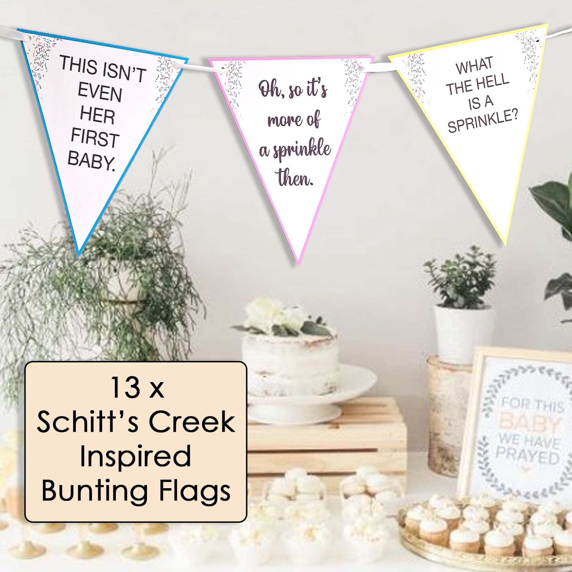 Baby Shower 'This isn't even her first baby!' Sprinkle Bunting - Baby Shower Bunting - Funny Baby Shower - Mummy Again