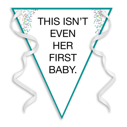 Baby Shower 'This isn't even her first baby!' Sprinkle Bunting - Baby Shower Bunting - Funny Baby Shower - Mummy Again