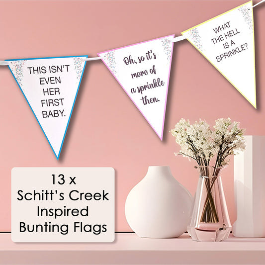 Baby Shower 'This isn't even her first baby!' Sprinkle Bunting - Baby Shower Bunting - Funny Baby Shower - Mummy Again